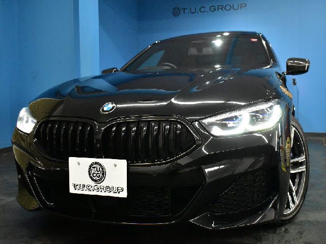 Bmw 8 SERIES 2021-02 195903-29