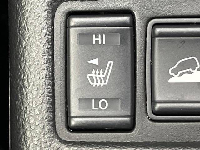 Nissan X-TRAIL 2015-06 17499-6