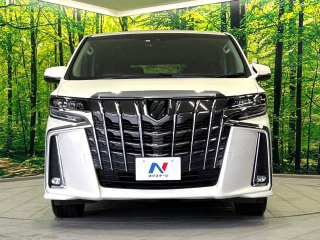 Toyota ALPHARD 2020-11 193060-17