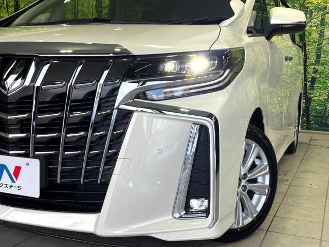 Toyota ALPHARD 2020-11 193060-15