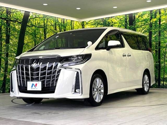 Toyota ALPHARD 2020-11 193060-19