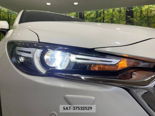 Mazda CX-8 2018-06 266628-12