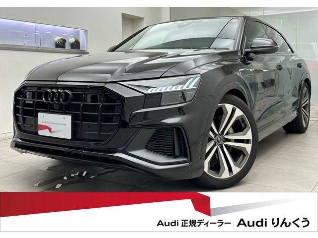 Audi Q8 2022-11 17289-0
