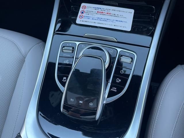 Mercedes Benz G-CLASS 2022-07 24378-14