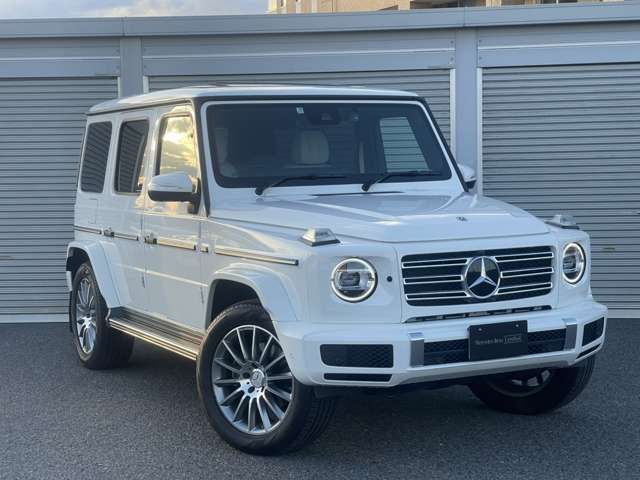 Mercedes Benz G-CLASS 2022-07 24378-4