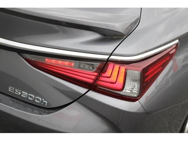 Lexus ES 2019-03 5517-12