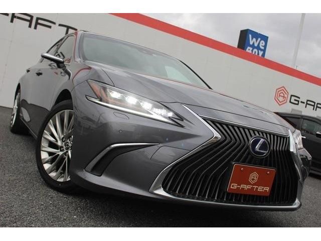 Lexus ES 2019-03 5517-11