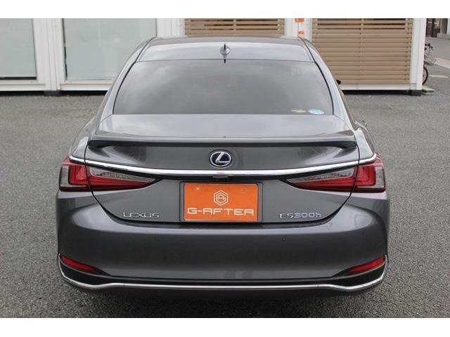 Lexus ES 2019-03 5517-8