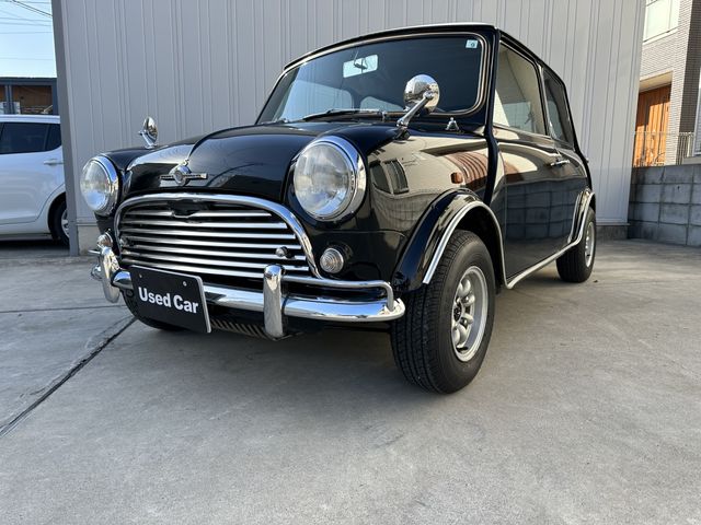 ROVER MINI 1991-04 28189-0