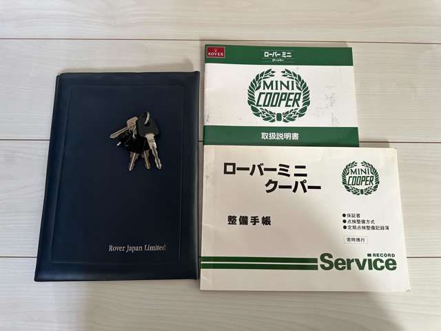 ROVER MINI 1991-04 28189-13