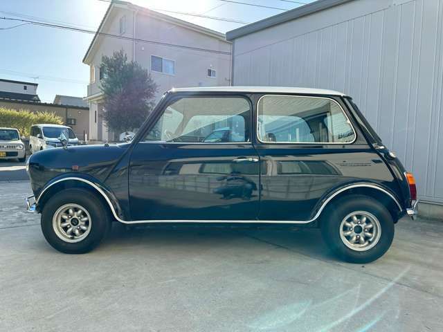 ROVER MINI 1991-04 28189-18