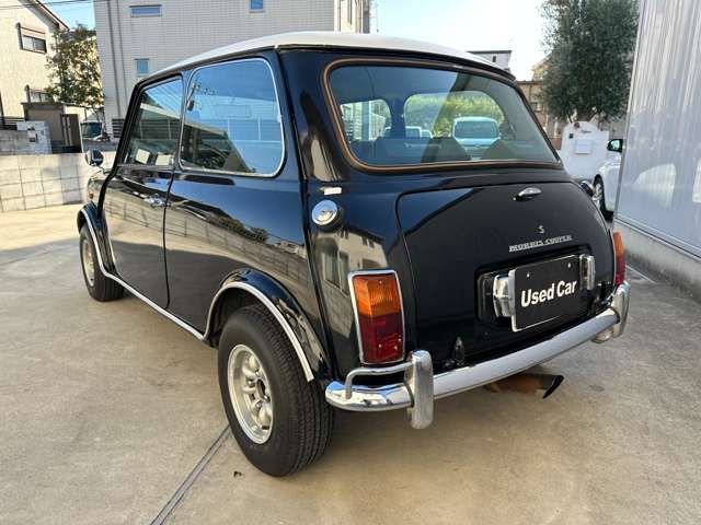 ROVER MINI 1991-04 28189-19
