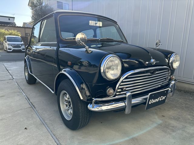 ROVER MINI 1991-04 28189-23