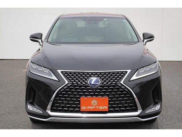 Lexus RX 2020-07 23035-6