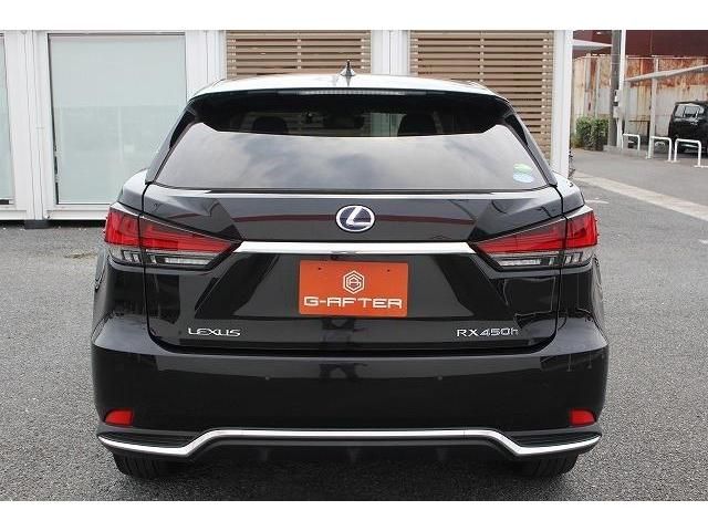 Lexus RX 2020-07 23035-8
