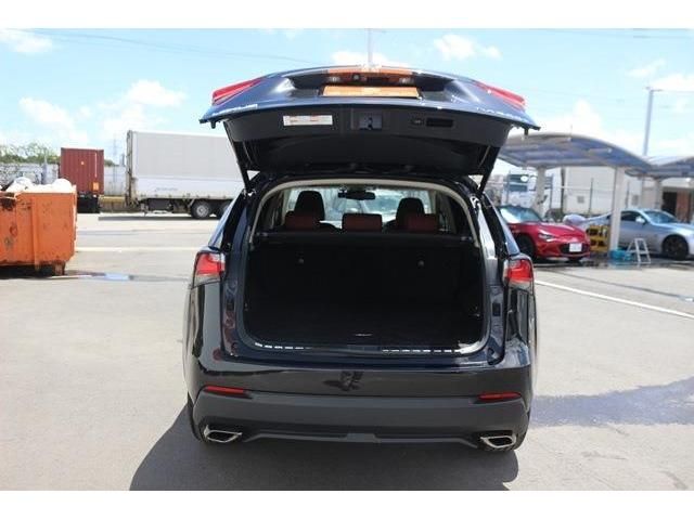 Lexus NX 2015-11 5821-9