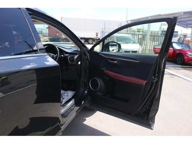 Lexus NX 2015-11 5821-8