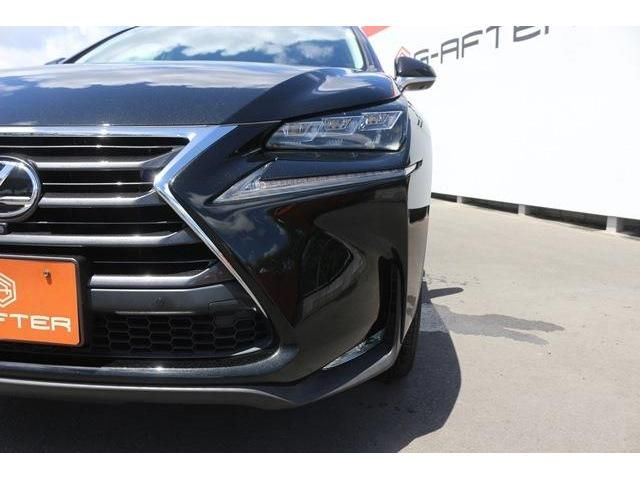 Lexus NX 2015-11 5821-4