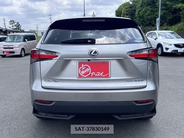 Lexus NX 2015-07 275676-5