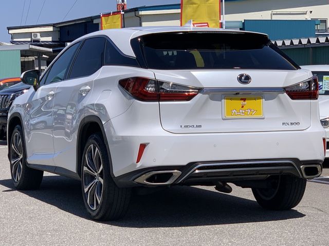 Lexus RX 2018-03 3694-7