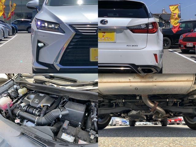 Lexus RX 2018-03 3694-29