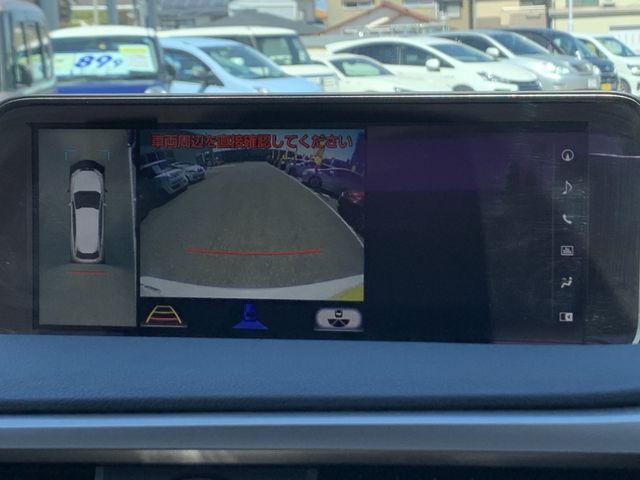 Lexus RX 2018-03 3694-16