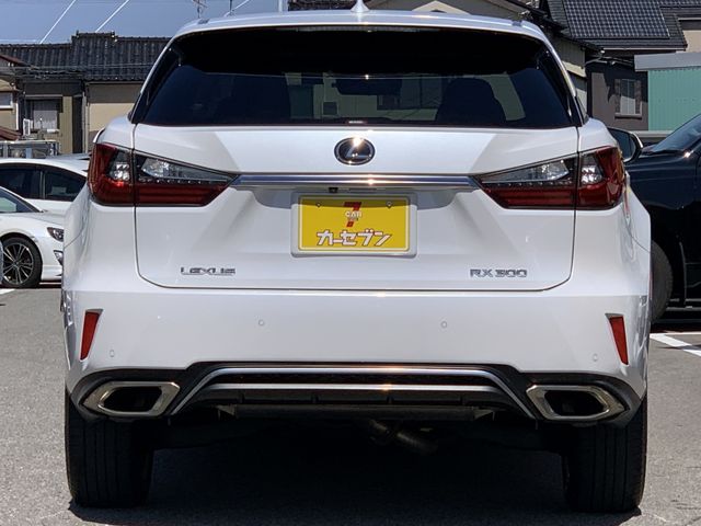 Lexus RX 2018-03 3694-6