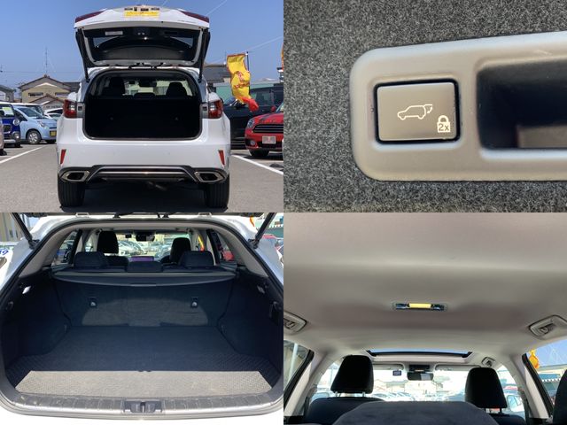Lexus RX 2018-03 3694-27
