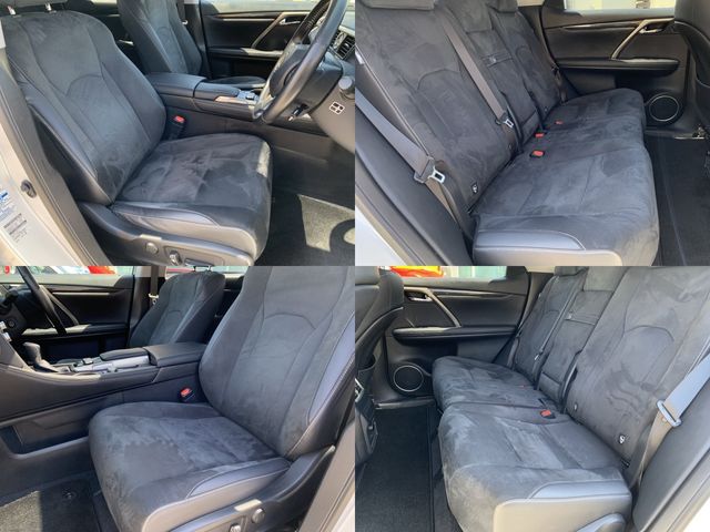Lexus RX 2018-03 3694-26