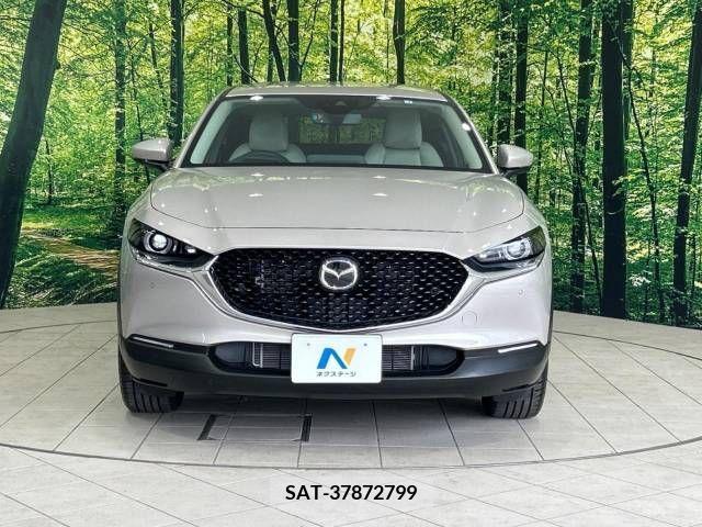 Mazda CX-30 2022-07 343502-14