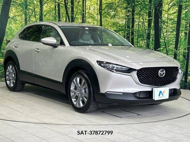 Mazda CX-30 2022-07 343502-16