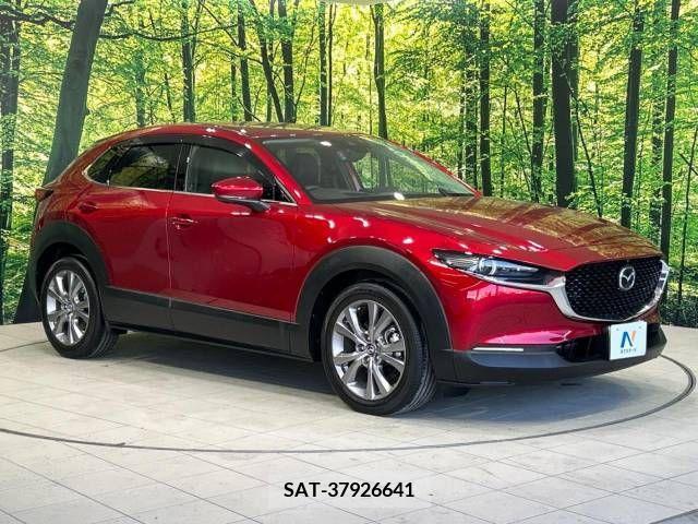 Mazda CX-30 2020-01 295610-14