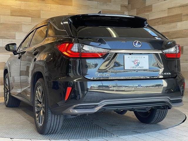 Lexus RX 2018-07 11222-16