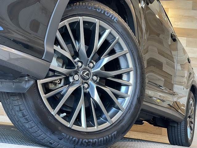Lexus RX 2018-07 11222-19