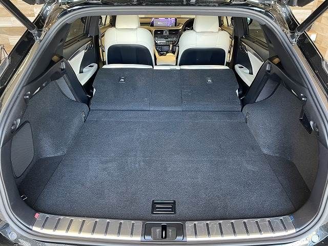 Lexus RX 2018-07 11222-12