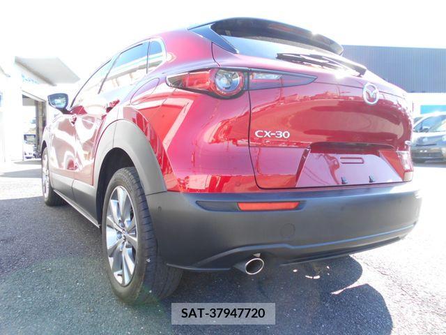Mazda CX-30 2021-03 215170-2