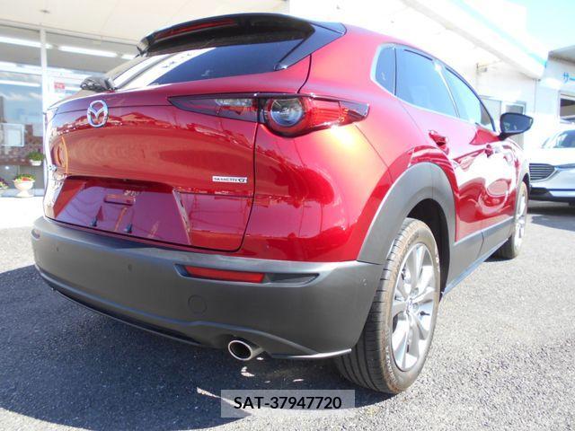 Mazda CX-30 2021-03 215170-3