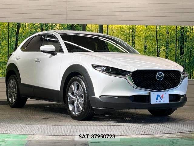 Mazda CX-30 2023-03 208205-15