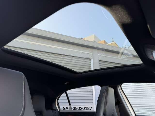 Amg A-Class 2021-06 291444-7