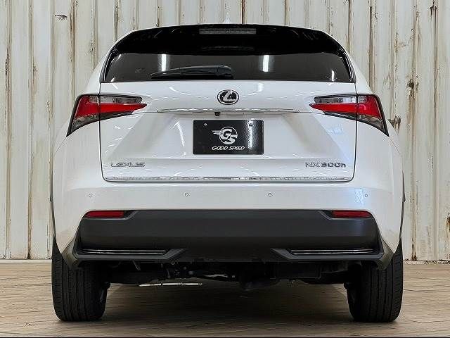 Lexus NX 2015-08 181359-12
