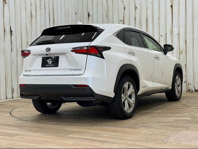 Lexus NX 2015-08 181359-15