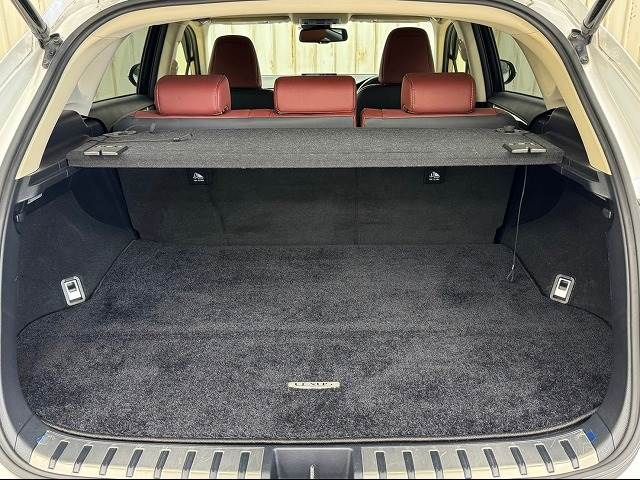 Lexus NX 2015-08 181359-10