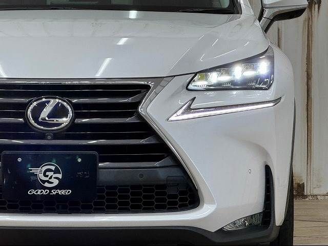 Lexus NX 2015-08 181359-17
