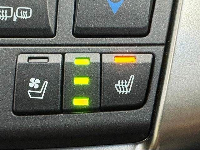 Lexus NX 2015-08 181359-5