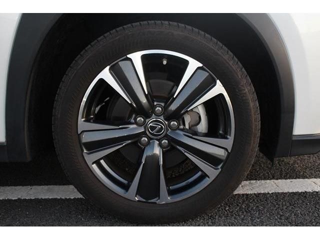 Lexus UX 2019-07 23506-10