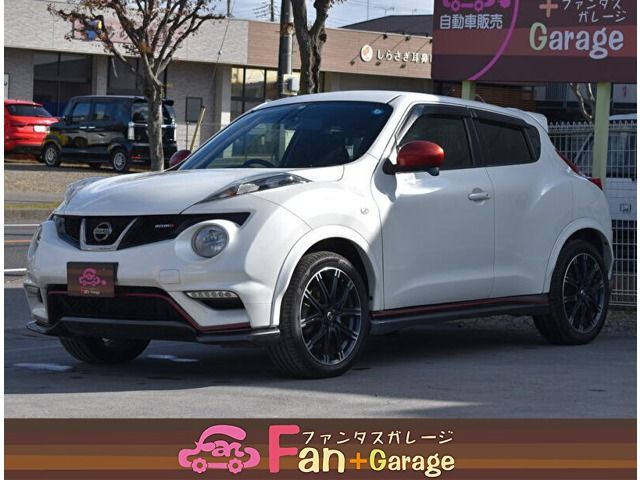 Nissan JUKE 2013-11 191383-0