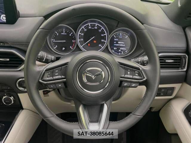Mazda CX-8 2018-06 308545-11