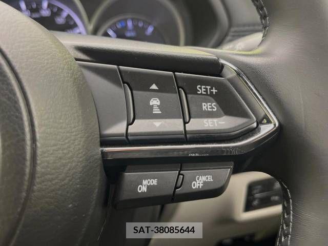 Mazda CX-8 2018-06 308545-6