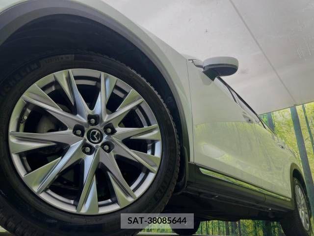 Mazda CX-8 2018-06 308545-13