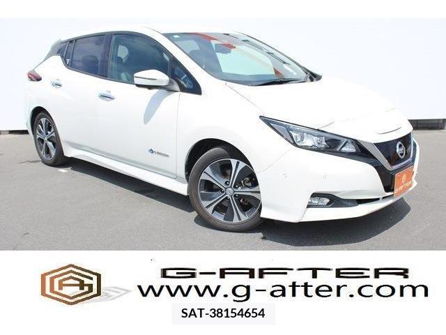 Nissan LEAF 2018-08 367070-0